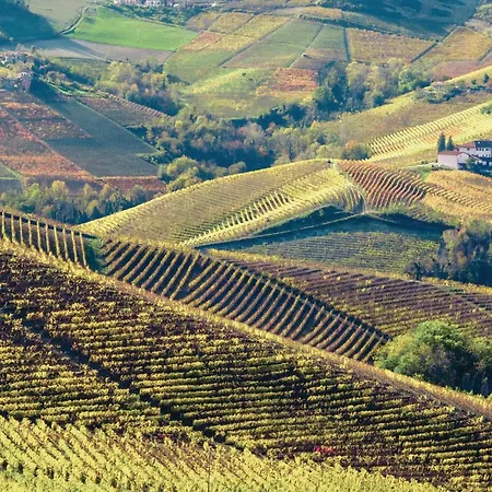 Bellavista بيت للعطل *